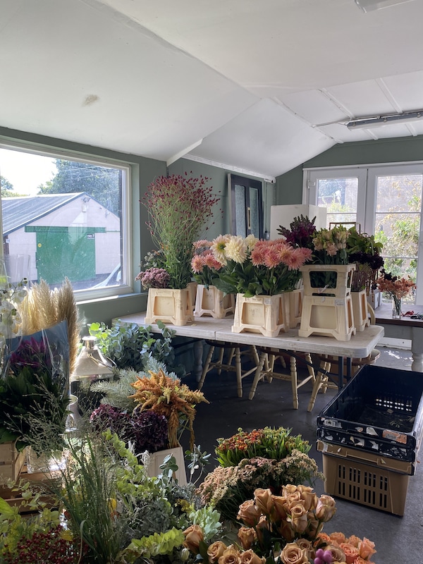 Image shows a flower studio filled with buckets of flowers bathed in sunlight