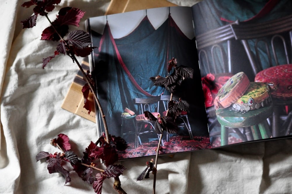 flower flatlay showing a book with some dark leaves on a florist workbench